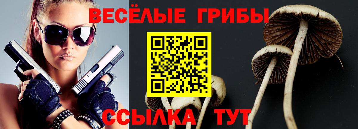 Псилоцибиновые грибы мухоморы Озёры